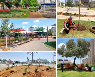 העיר מלאה בפרחים: במחלקת גינון ונוף של עיריית לוד מתכוננים לשנת שמיטה