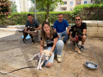 השירות הווטרינרי בלוד השתתף ביום אימוץ כלבים במודיעין