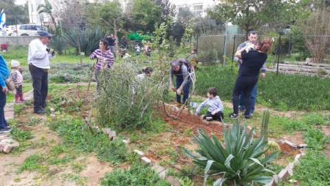 הגינות הקהילתיות של לוד: הופכים את שגרת היומיום ליותר ירוקה