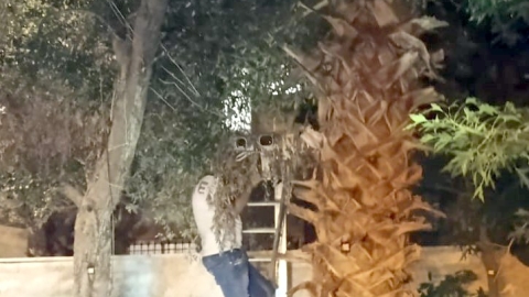 פשיטה נחושה בלוד: הוסרו מצלמות וציוד מעקב בלתי חוקי המשמשים גורמי פשיעה