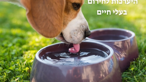 היערכות לחירום - בעלי חיים