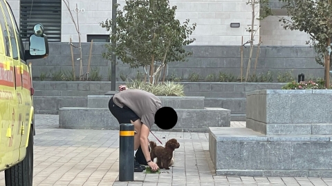 עם מעקב ומתן קנסות כספיים: בלוד שומרים על עיר נקייה מצואת כלבים